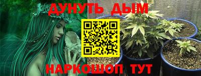 крисы Апрелевка