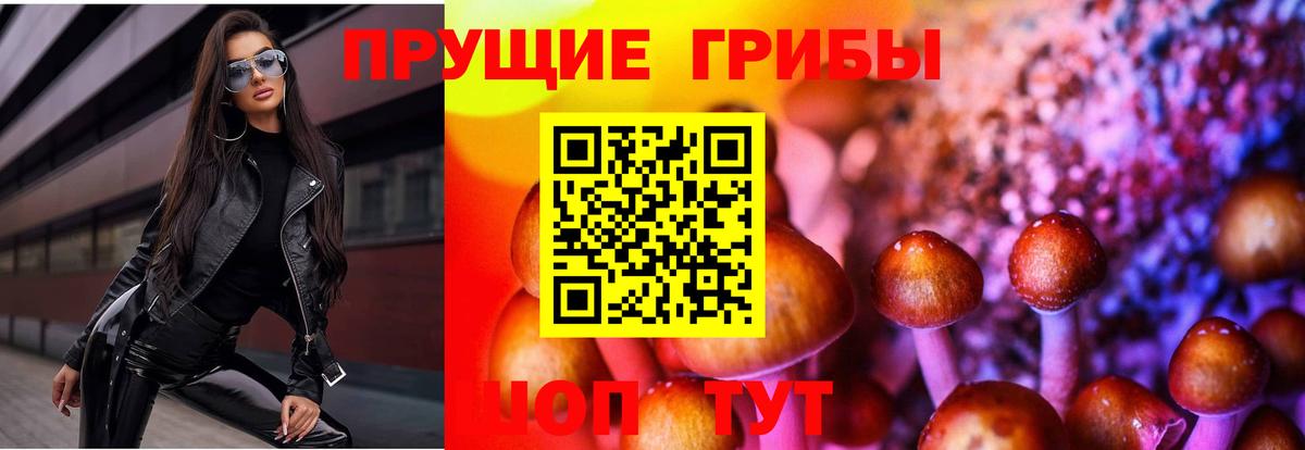 Псилоцибиновые грибы Psilocybe  Вход с VPN  Псилоцибиновые грибы Magic Shrooms  Братск 